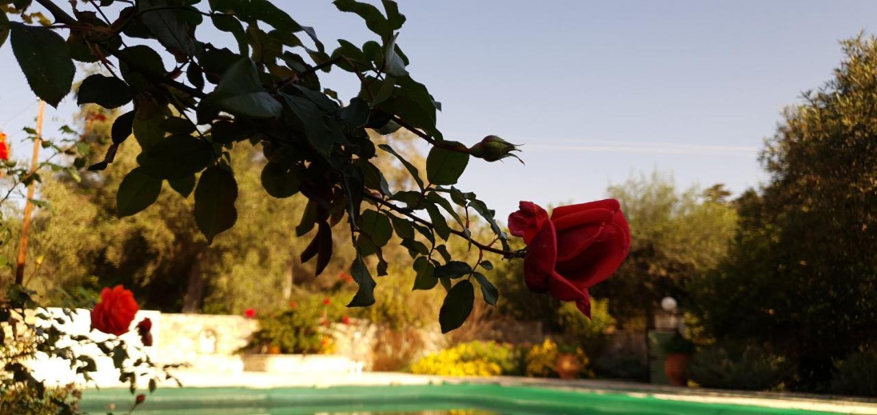 Livadi Studios With Pool Lakka  Exterior photo