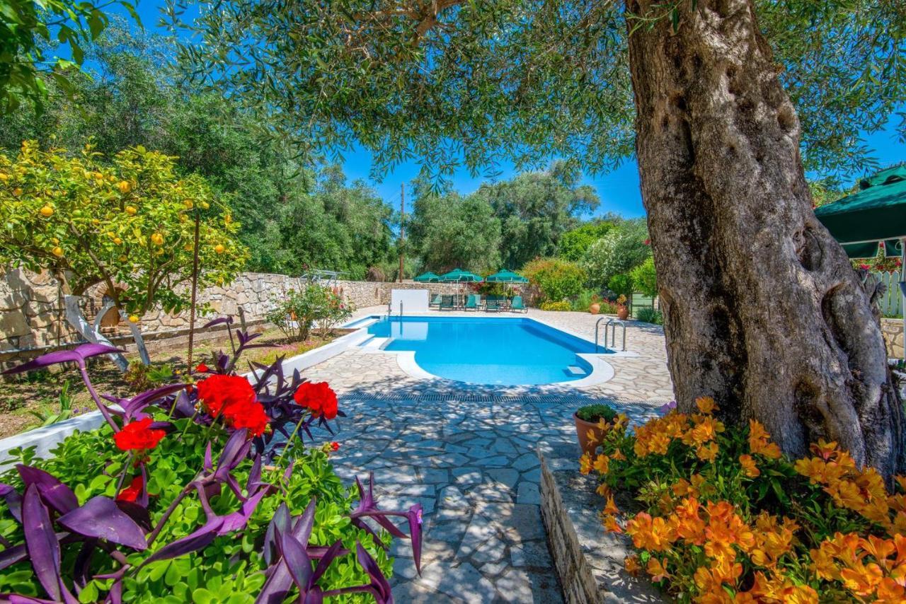 Livadi Studios With Pool Lakka  Exterior photo